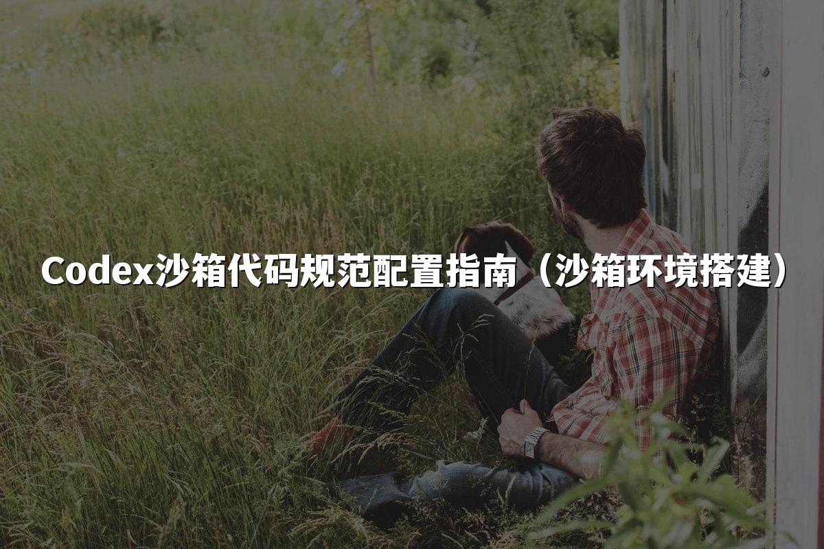 Codex沙箱代码规范配置指南（沙箱环境搭建）