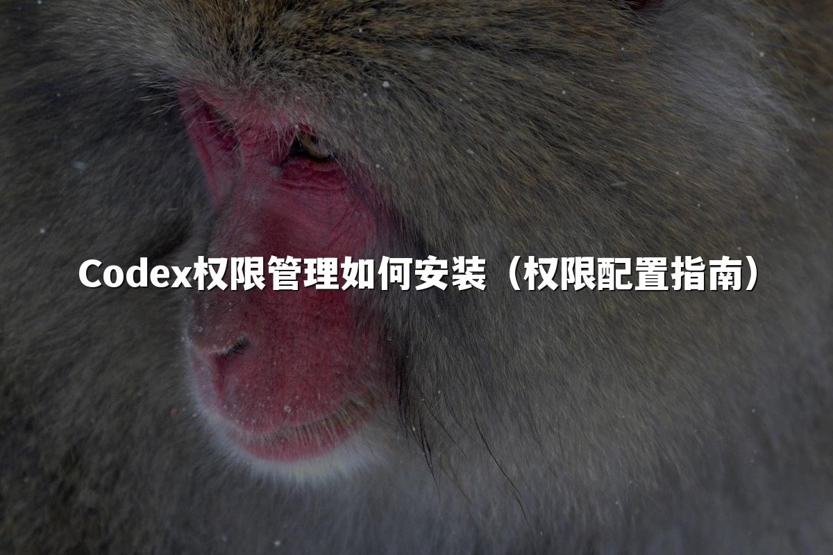 Codex权限管理如何安装（权限配置指南）
