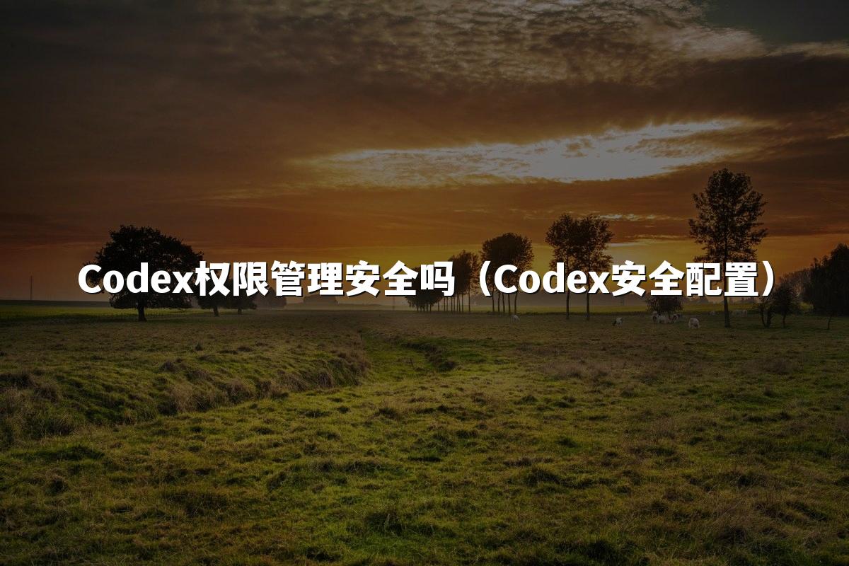 Codex权限管理安全吗（Codex安全配置）