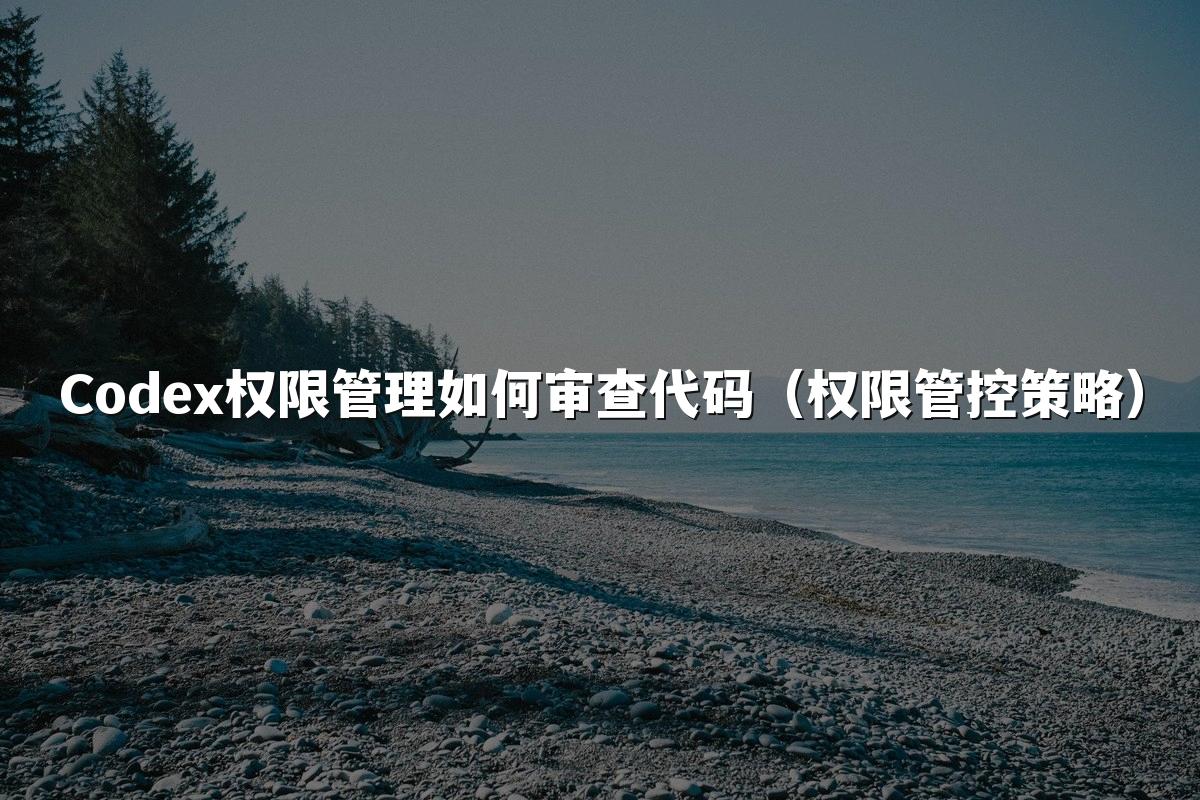 Codex权限管理如何审查代码（权限管控策略）