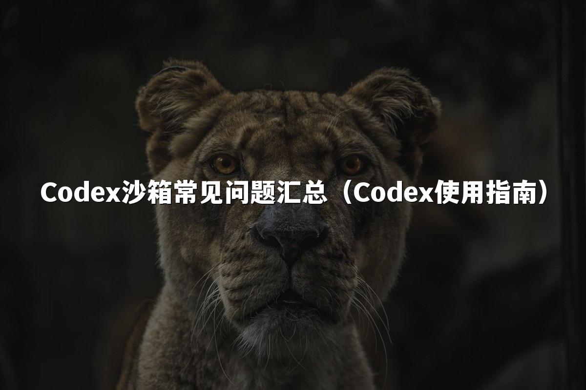 Codex沙箱常见问题汇总（Codex使用指南）