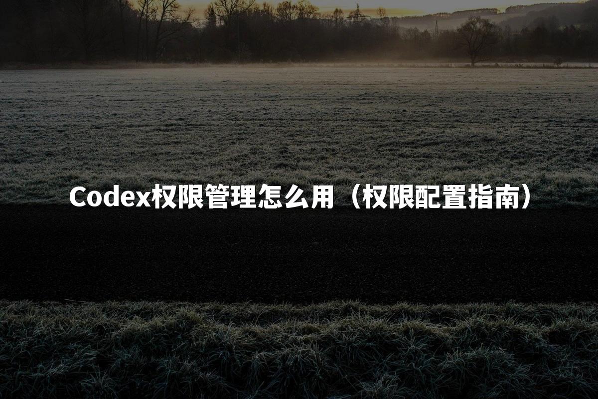 Codex权限管理怎么用（权限配置指南）
