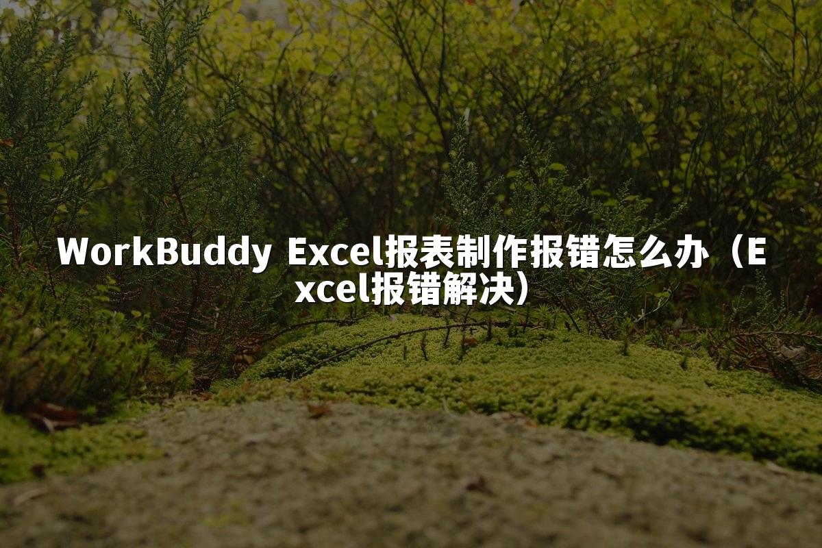 WorkBuddy Excel报表制作报错怎么办(Excel报错解决)