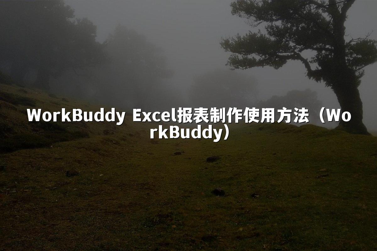 WorkBuddy Excel报表制作使用方法（WorkBuddy）