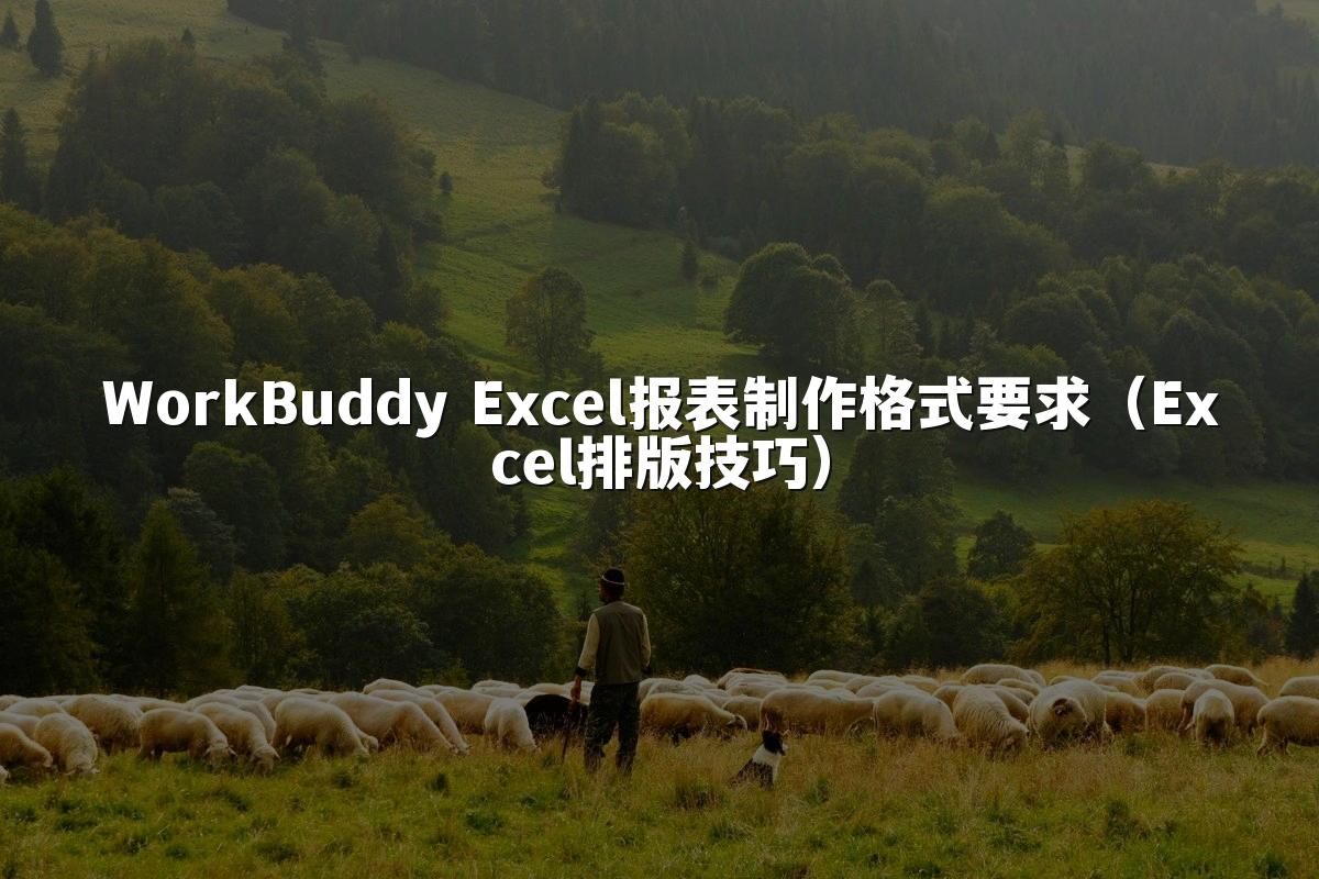 WorkBuddy Excel报表制作格式要求(Excel排版技巧)