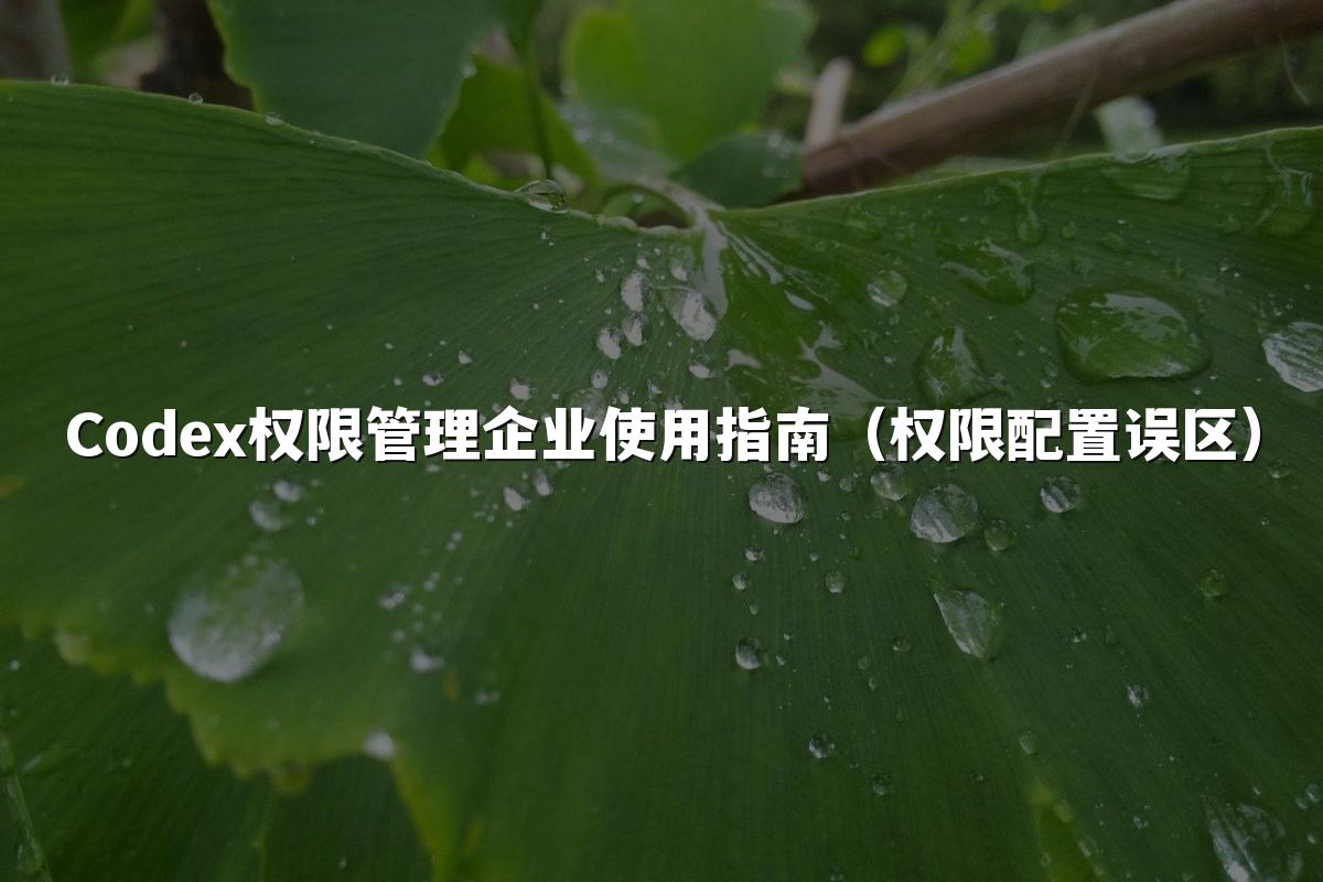 Codex权限管理企业使用指南（权限配置误区）