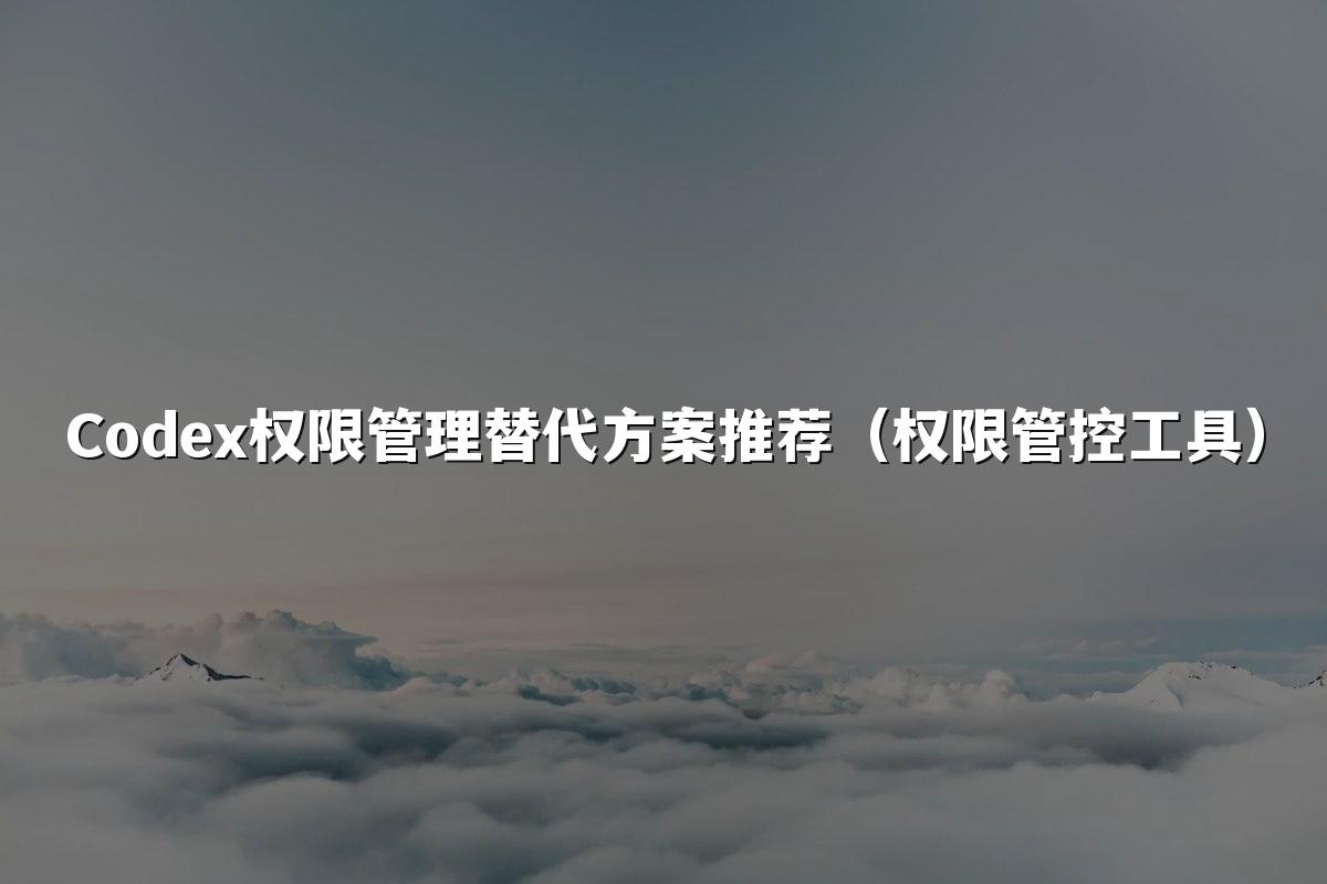 Codex权限管理替代方案推荐（权限管控工具）