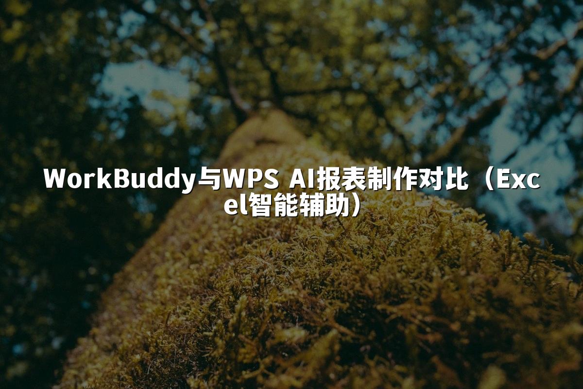 WorkBuddy与WPS AI报表制作对比（Excel智能辅助）