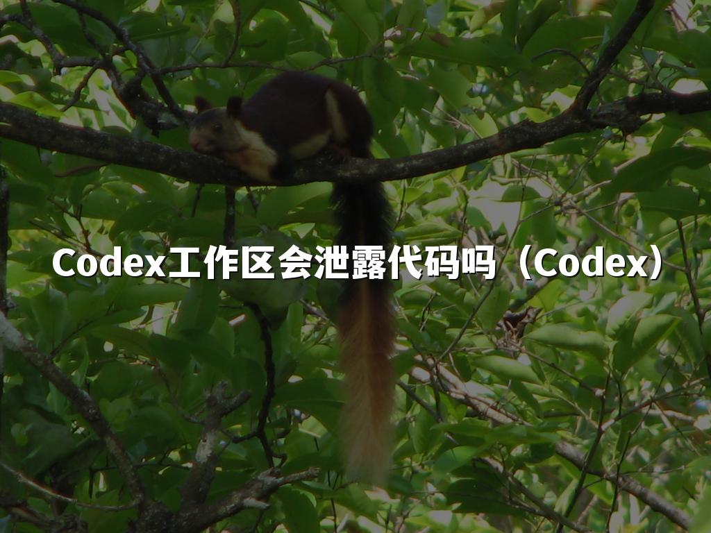 Codex工作区会泄露代码吗(Codex)