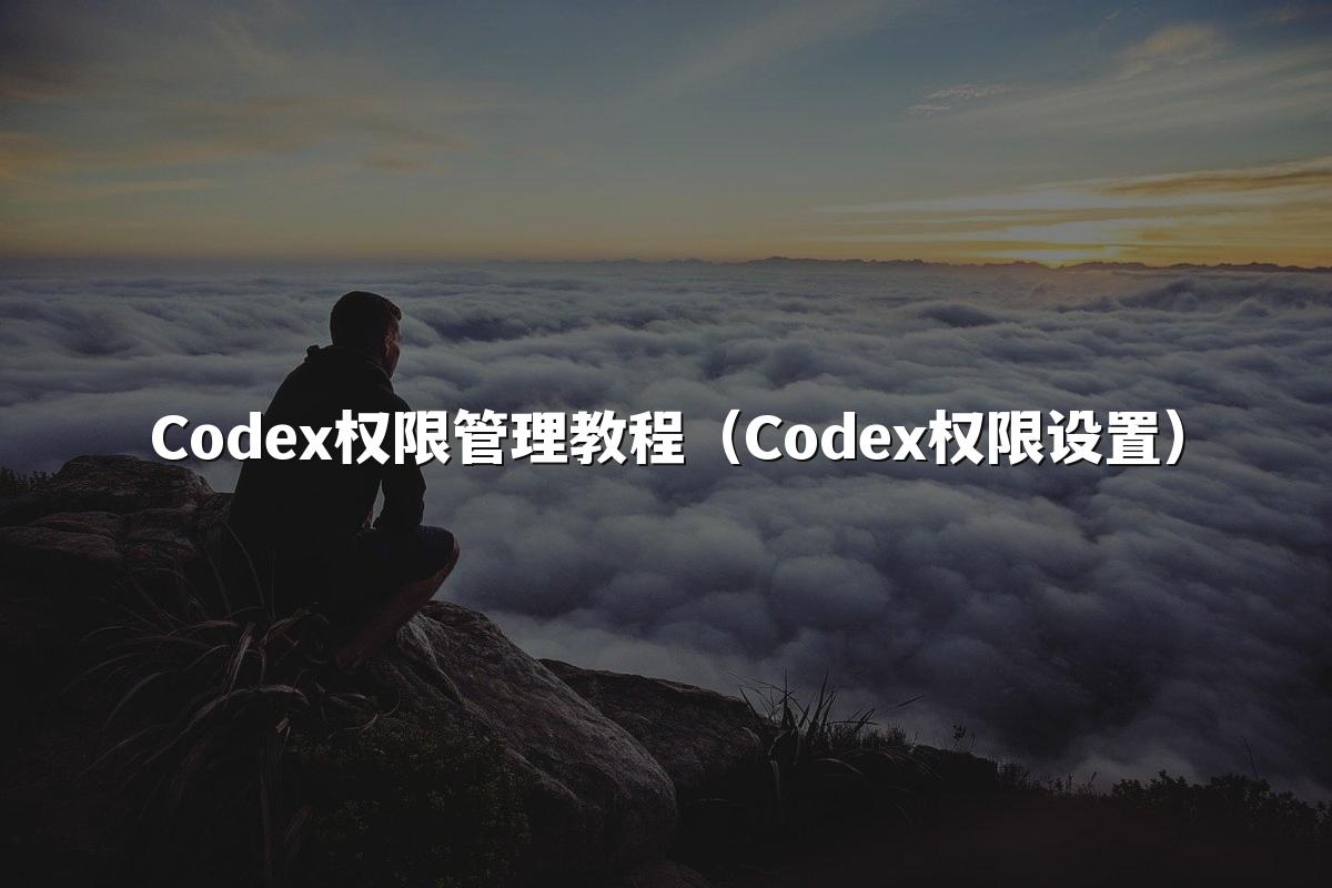 Codex权限管理教程（Codex权限设置）