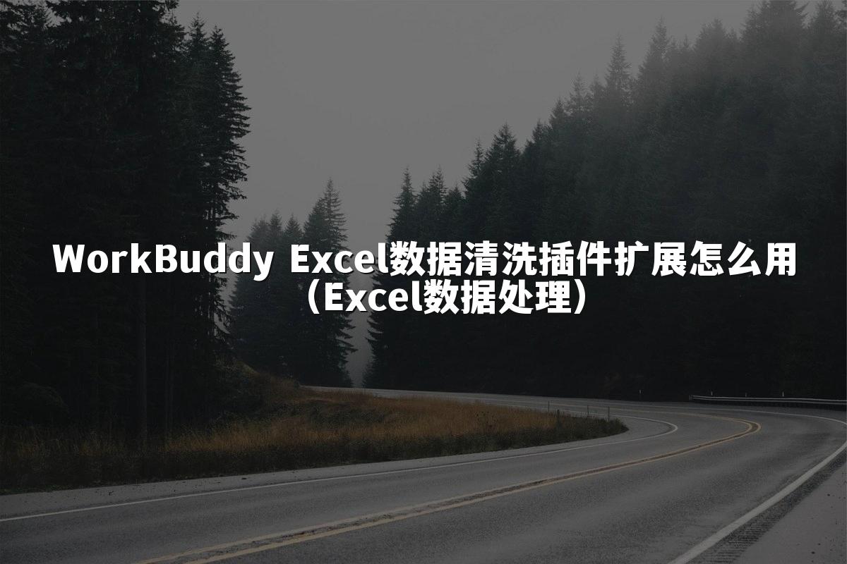 WorkBuddy Excel数据清洗插件扩展怎么用（Excel数据处理）