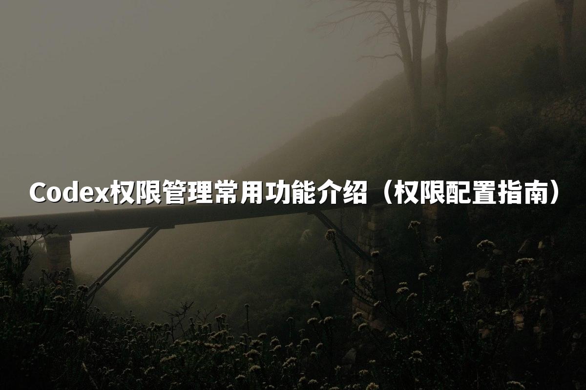 Codex权限管理常用功能介绍(权限配置指南)