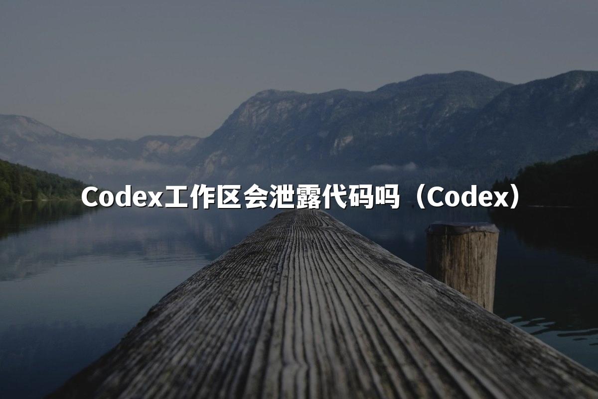 Codex工作区会泄露代码吗（Codex）