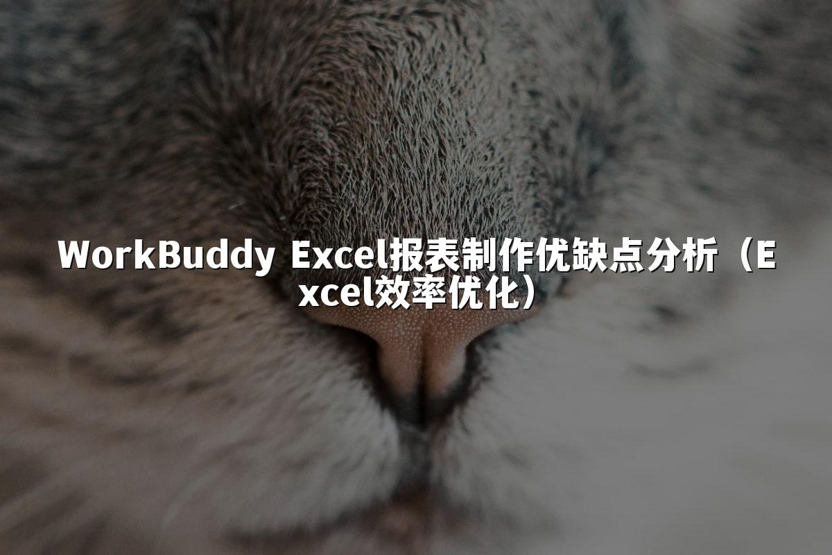 WorkBuddy Excel报表制作优缺点分析(Excel效率优化)