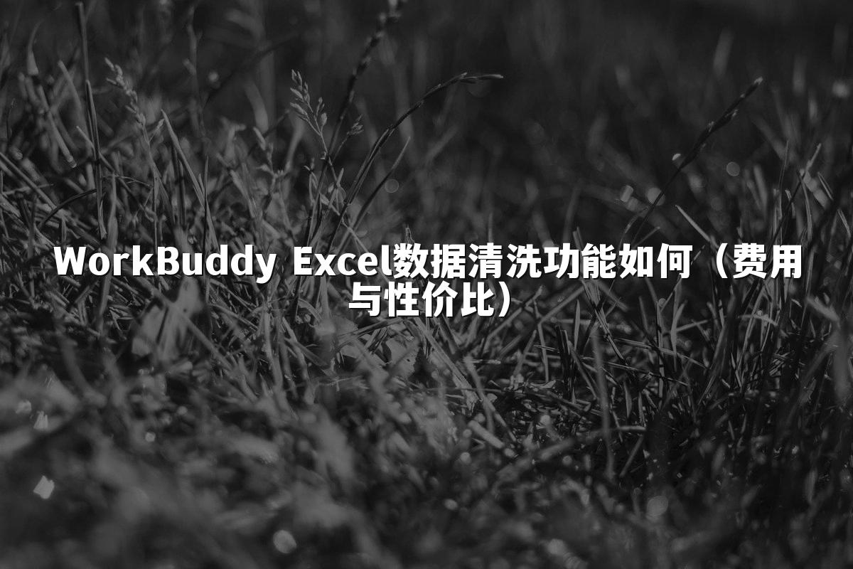 WorkBuddy Excel数据清洗功能如何（费用与性价比）