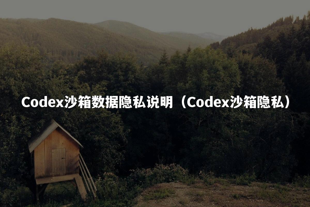 Codex沙箱数据隐私说明(Codex沙箱隐私)