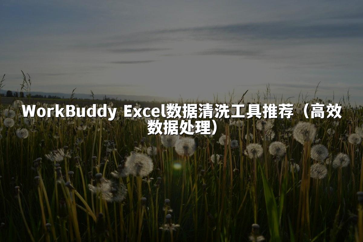 WorkBuddy Excel数据清洗工具推荐（高效数据处理）