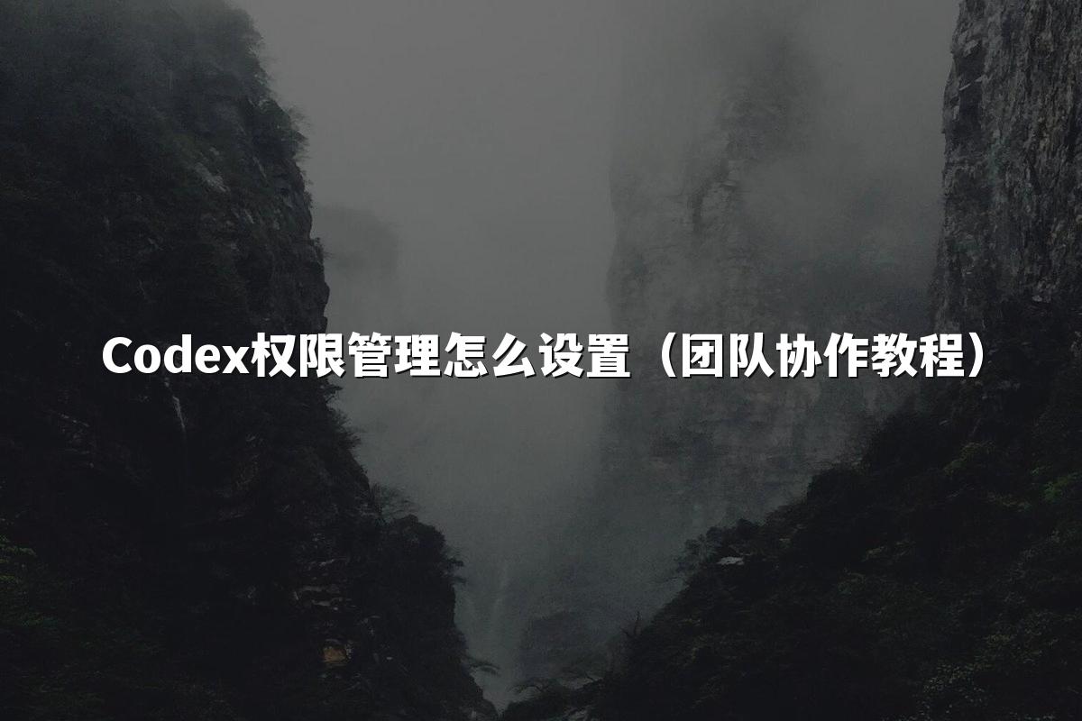 Codex权限管理怎么设置(团队协作教程)