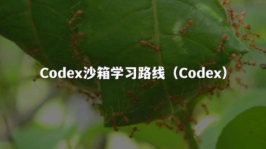 Codex沙箱学习路线（Codex）