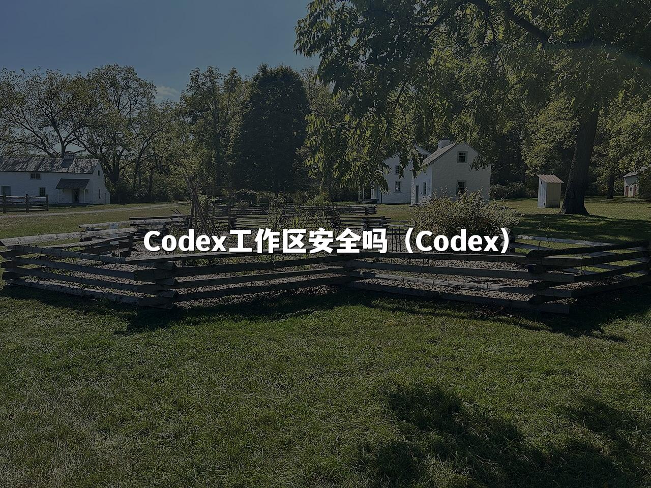 Codex工作区安全吗（Codex）
