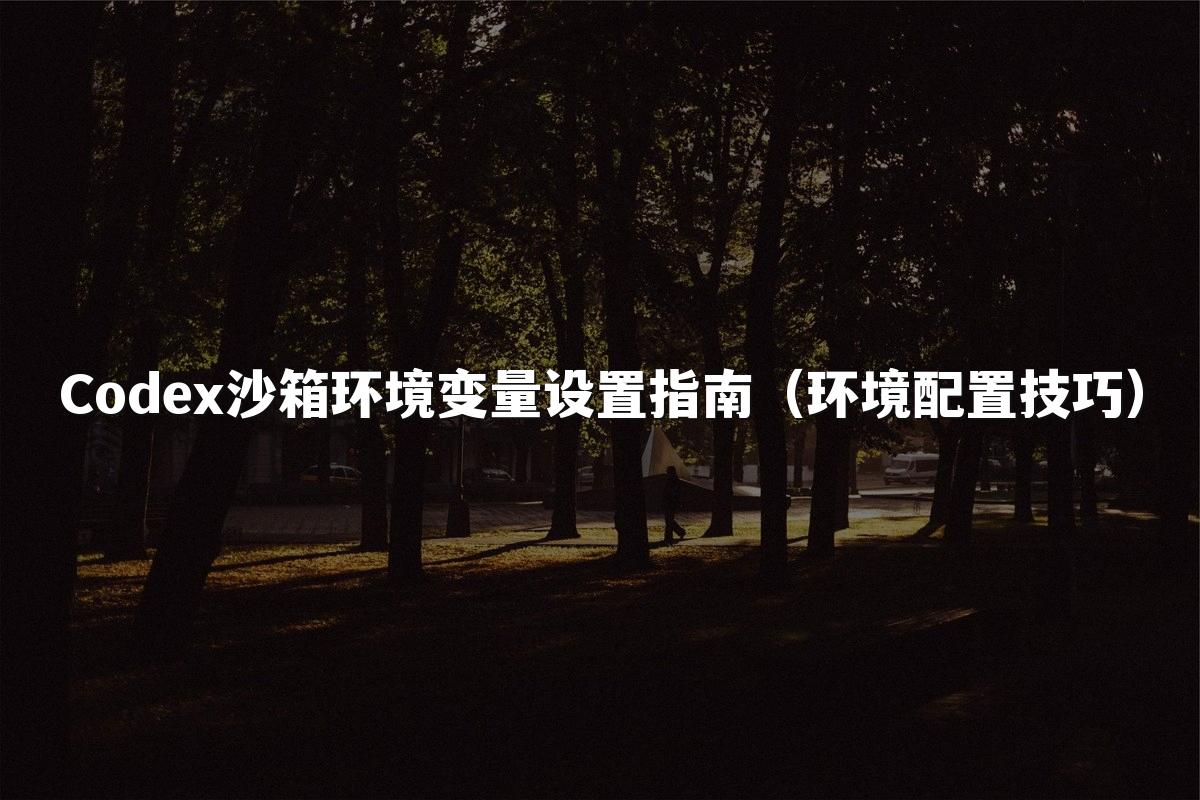 Codex沙箱环境变量设置指南（环境配置技巧）