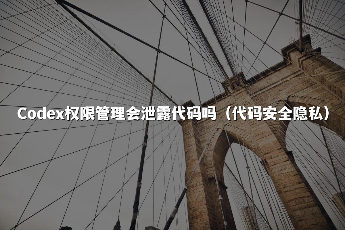 Codex权限管理会泄露代码吗（代码安全隐私）