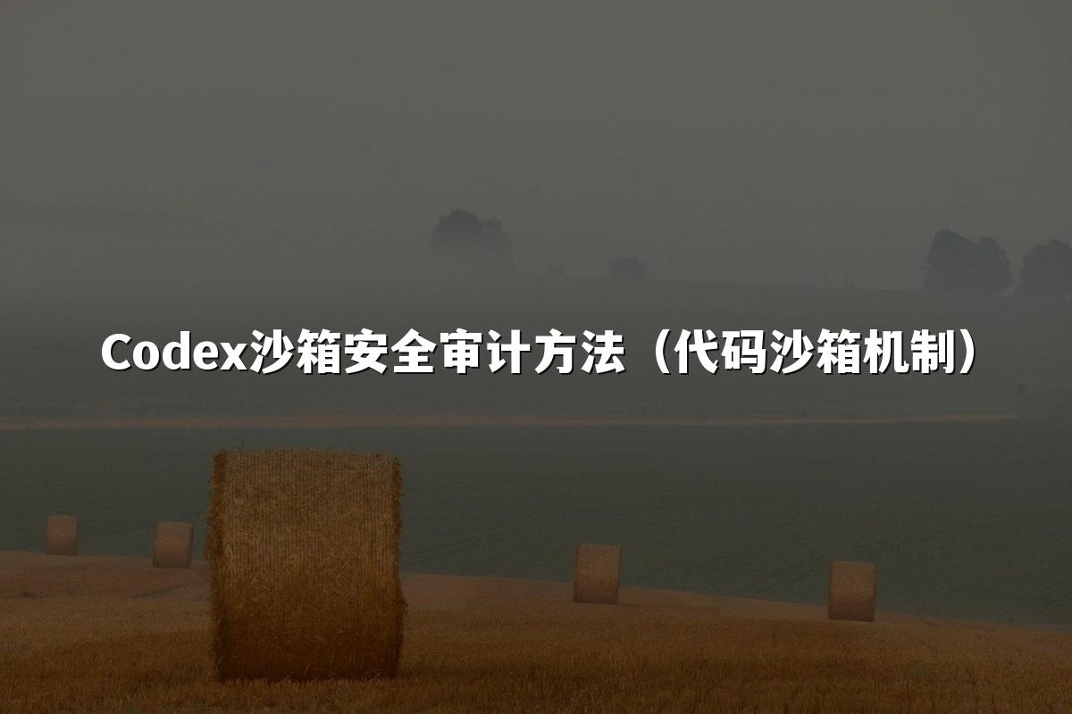 Codex沙箱安全审计方法(代码沙箱机制)