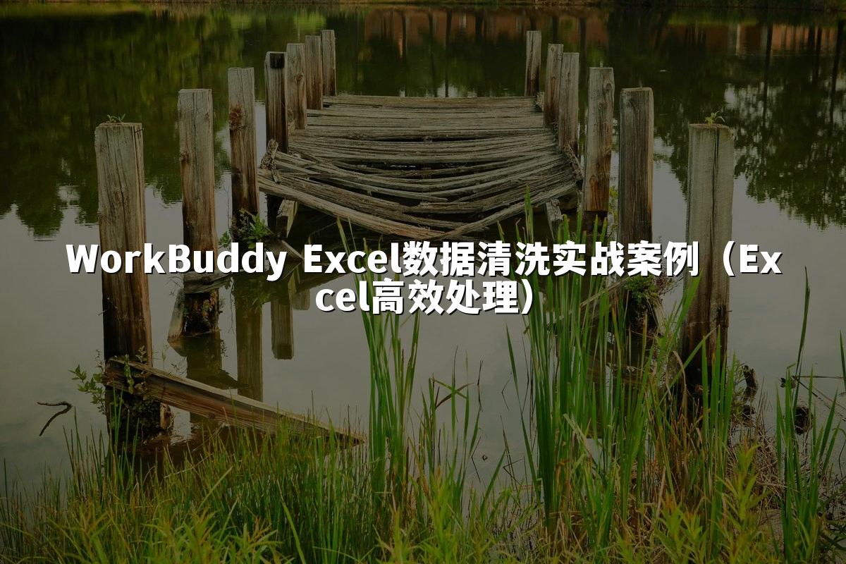 WorkBuddy Excel数据清洗实战案例（Excel高效处理）