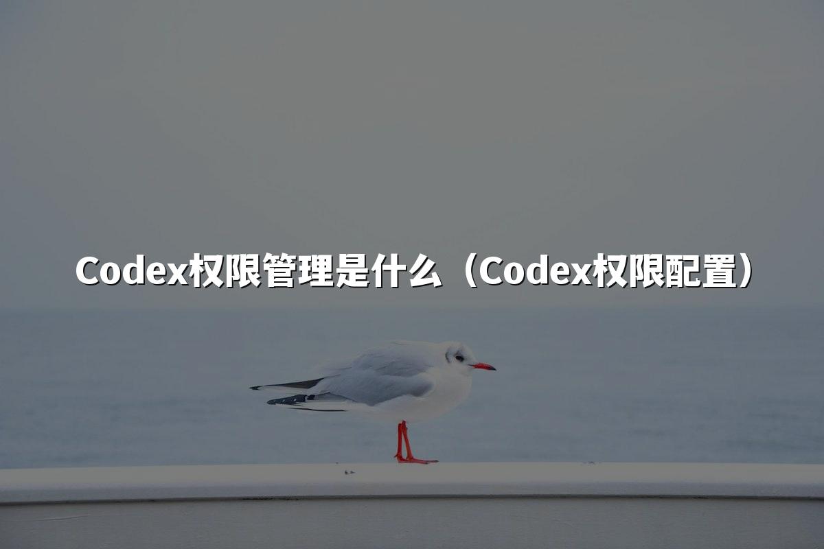 Codex权限管理是什么（Codex权限配置）