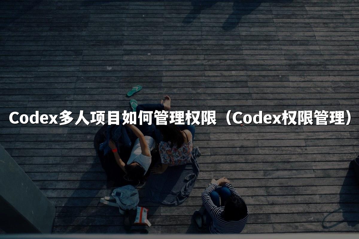 Codex多人项目如何管理权限(Codex权限管理)