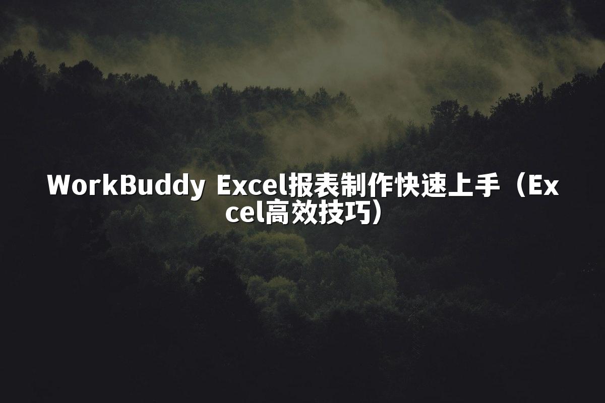 WorkBuddy Excel报表制作快速上手（Excel高效技巧）