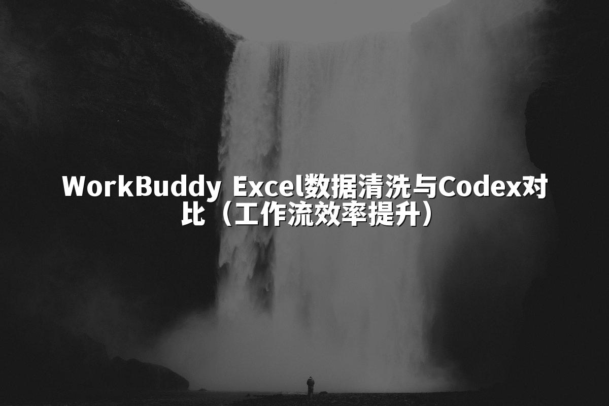 WorkBuddy Excel数据清洗与Codex对比（工作流效率提升）