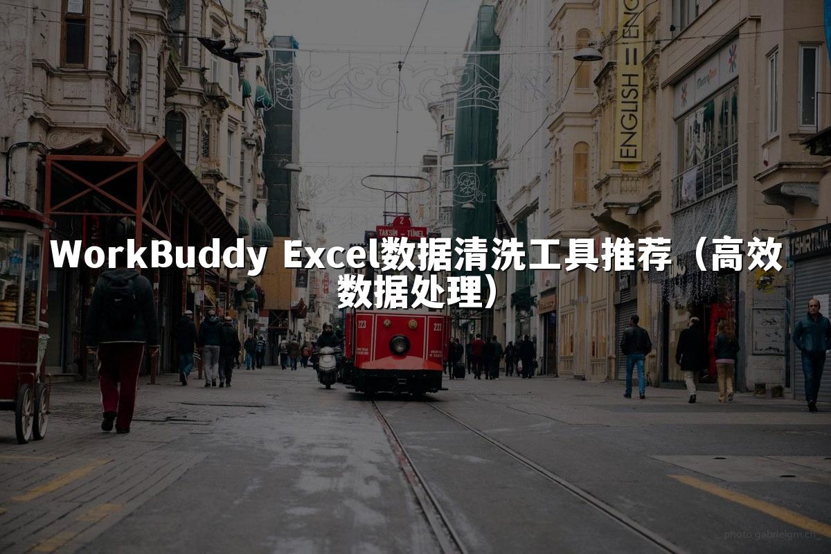 WorkBuddy Excel数据清洗工具推荐（高效数据处理）