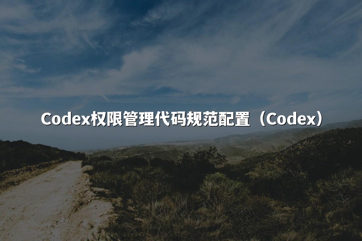 Codex权限管理代码规范配置（Codex）