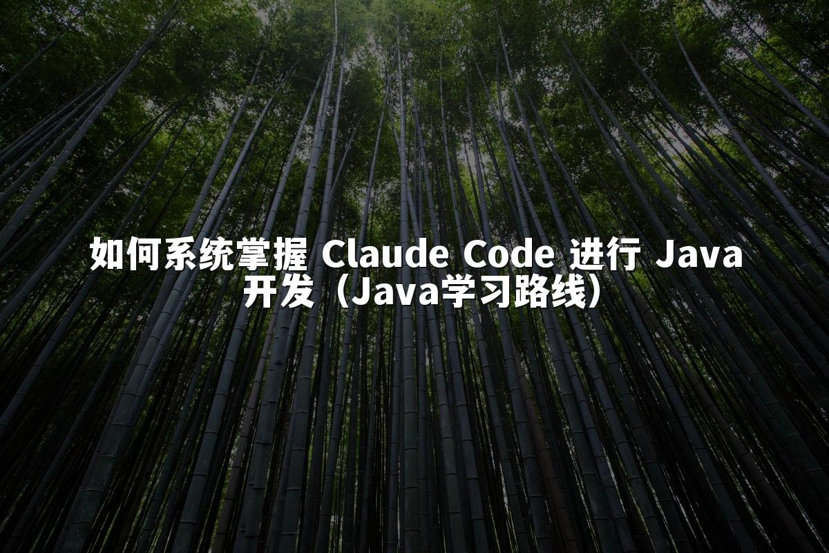 如何系统掌握 Claude Code 进行 Java 开发（Java学习路线）