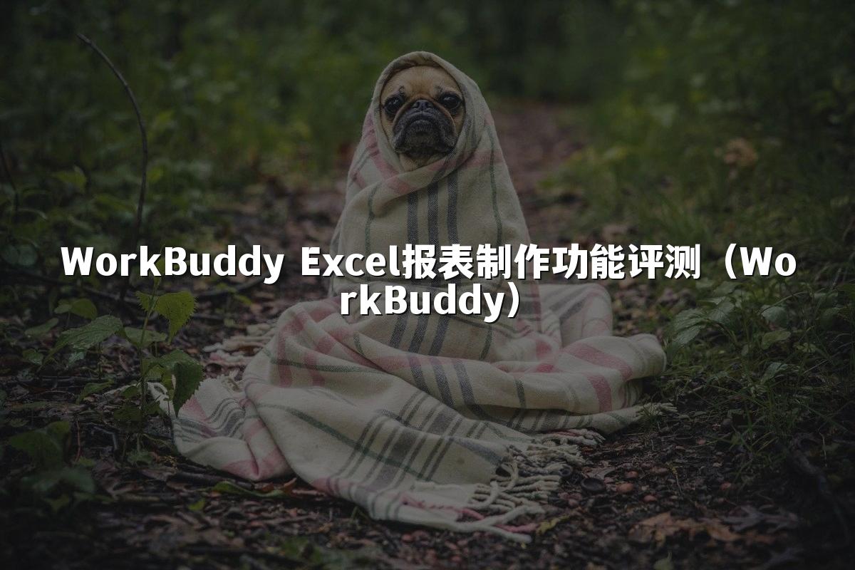 WorkBuddy Excel报表制作功能评测(WorkBuddy)