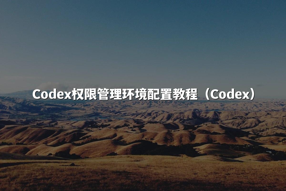Codex权限管理环境配置教程（Codex）