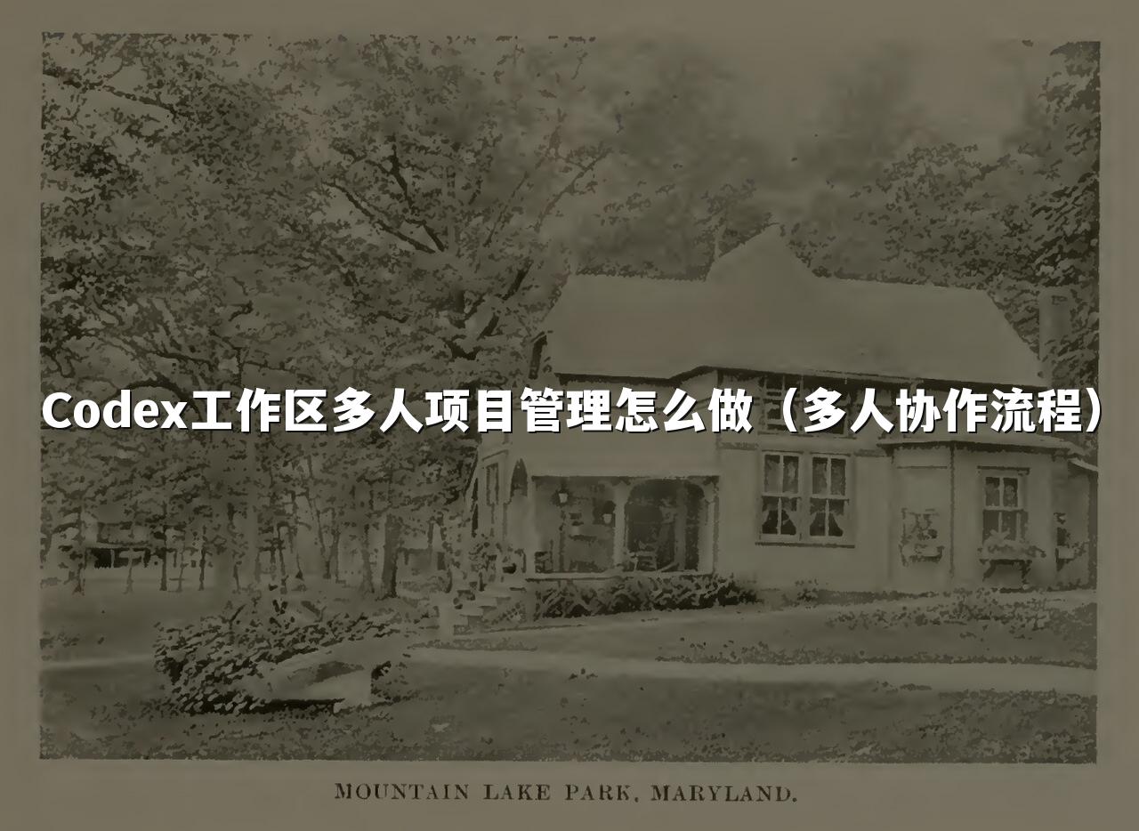 Codex工作区多人项目管理怎么做(多人协作流程)