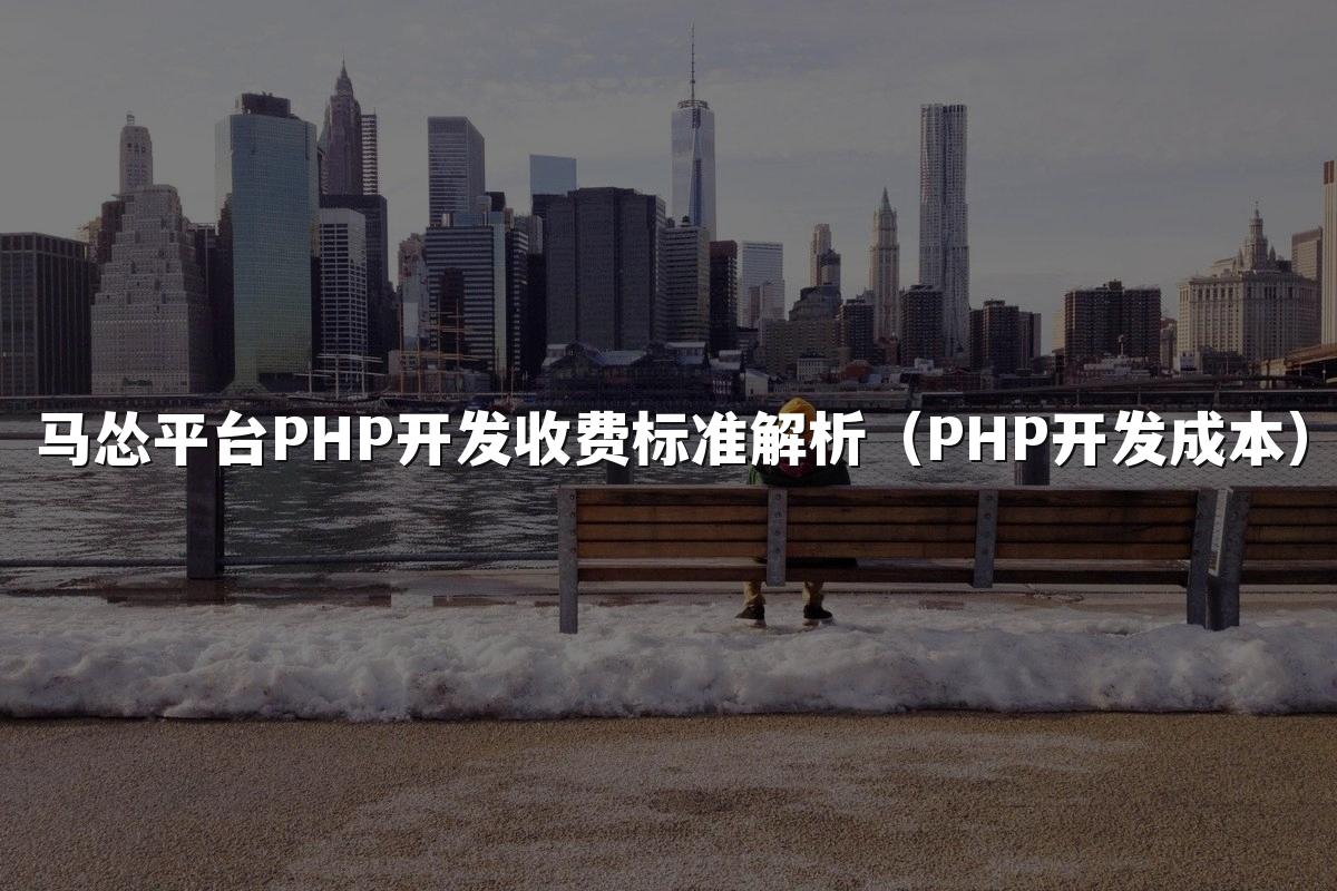 马怂平台PHP开发收费标准解析(PHP开发成本)