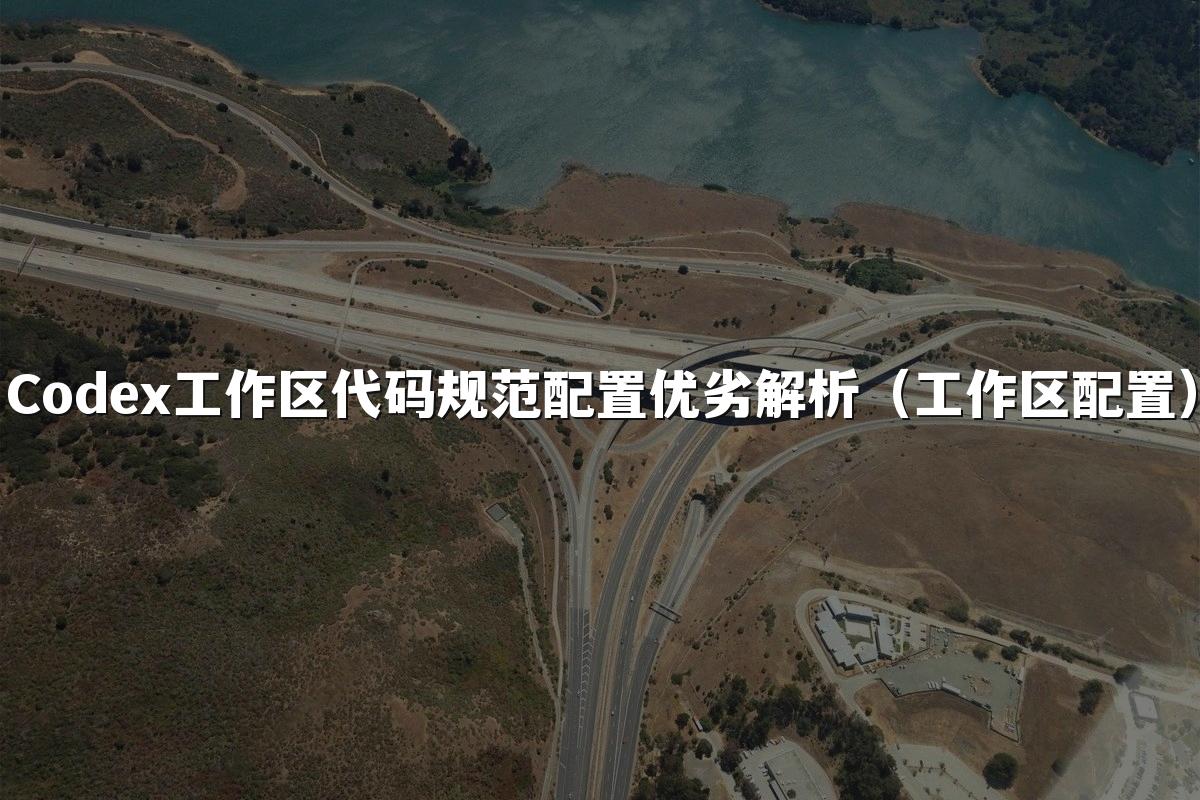 Codex工作区代码规范配置优劣解析（工作区配置）