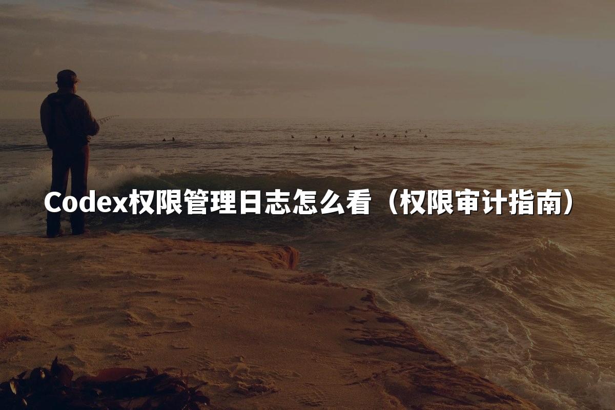 Codex权限管理日志怎么看(权限审计指南)