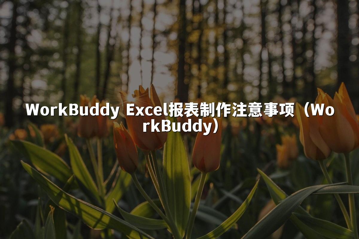 WorkBuddy Excel报表制作注意事项(WorkBuddy)