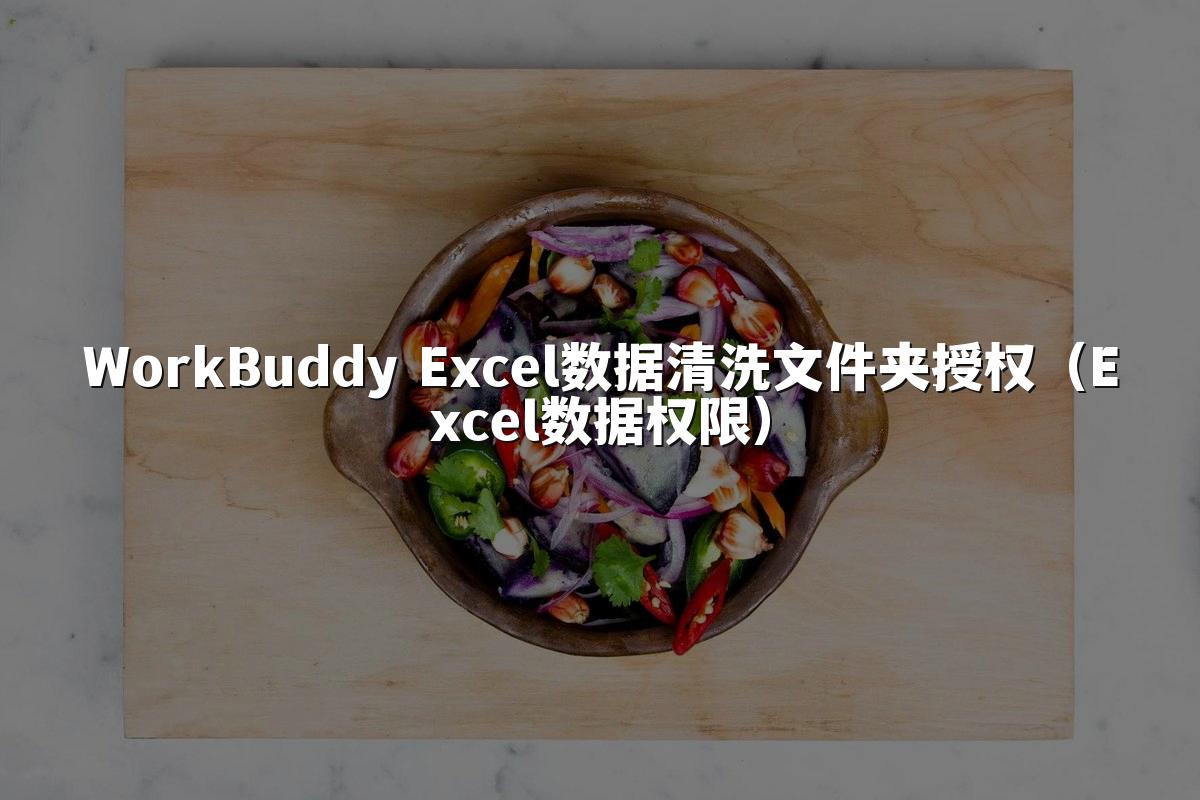 WorkBuddy Excel数据清洗文件夹授权（Excel数据权限）