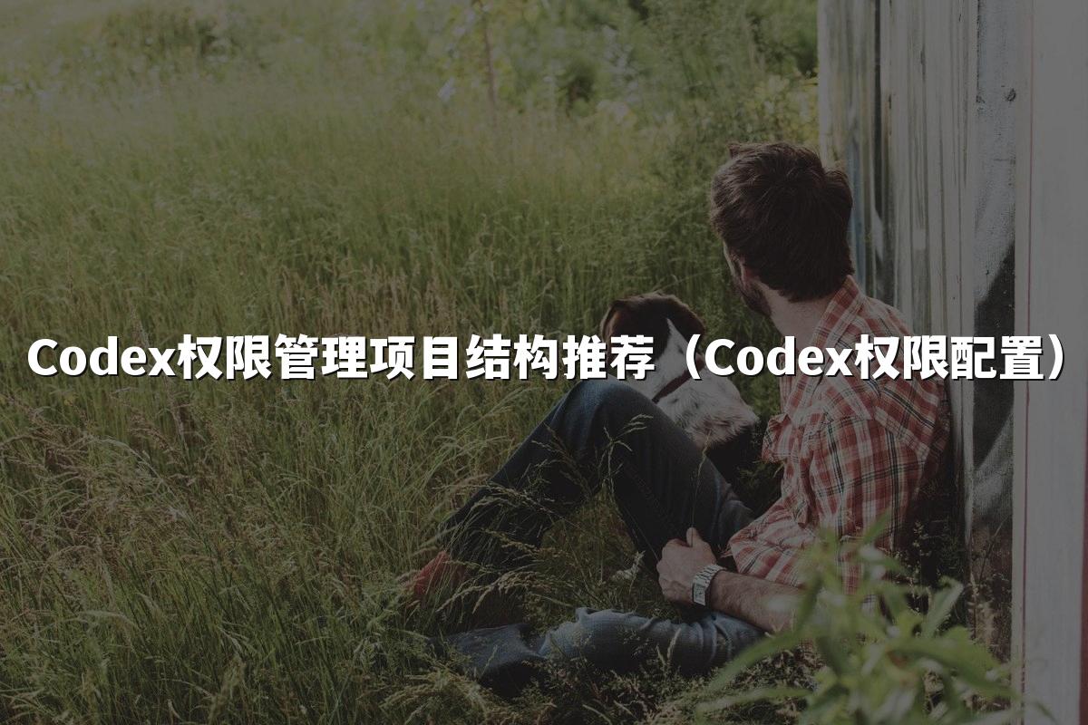 Codex权限管理项目结构推荐（Codex权限配置）