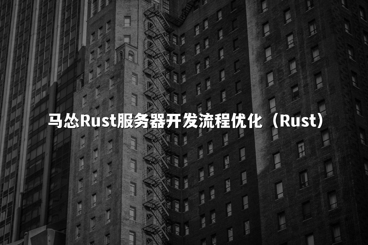 马怂Rust服务器开发流程优化(Rust)