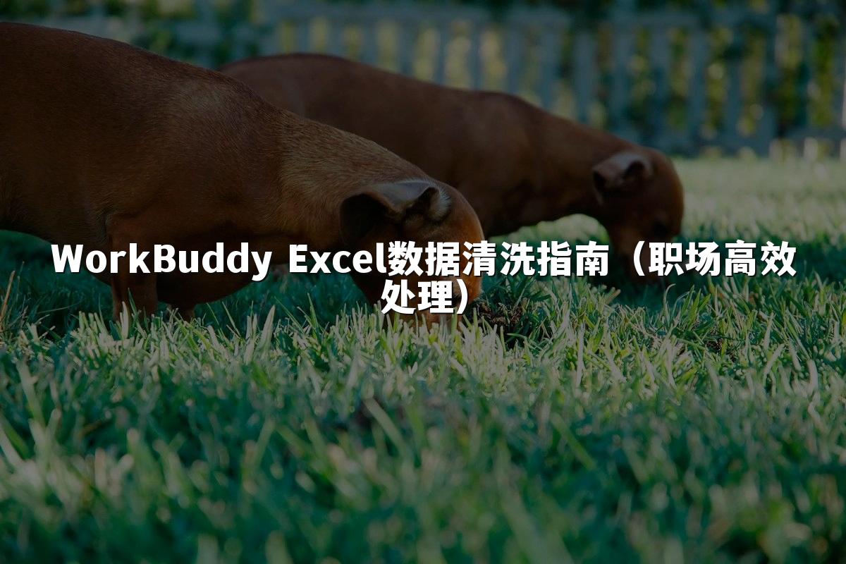 WorkBuddy Excel数据清洗指南（职场高效处理）