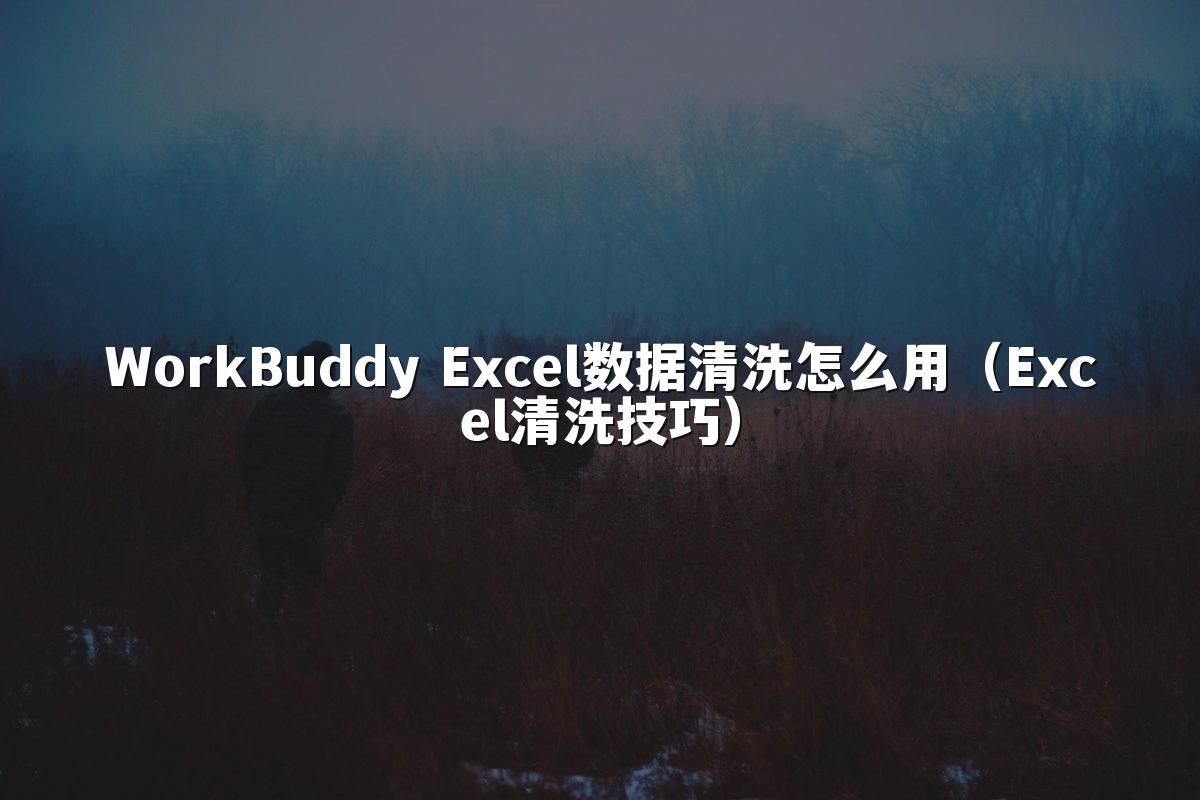 WorkBuddy Excel数据清洗怎么用(Excel清洗技巧)