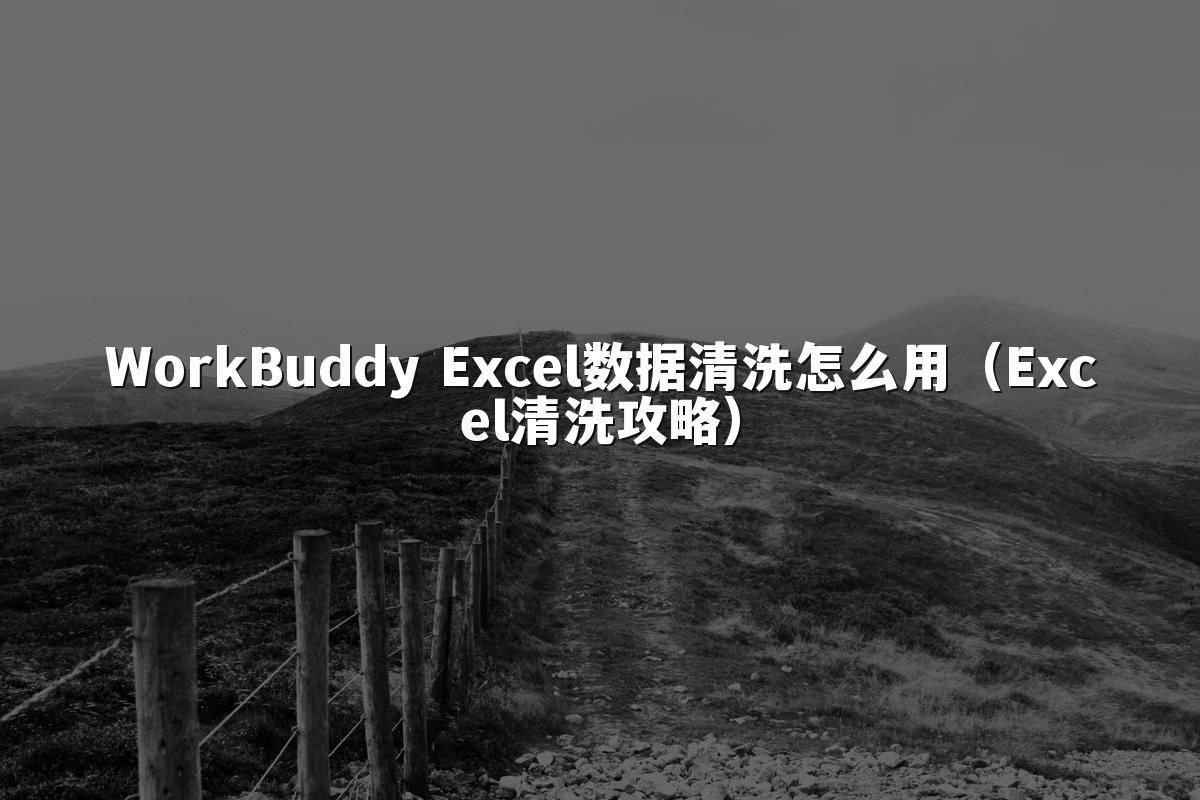 WorkBuddy Excel数据清洗怎么用（Excel清洗攻略）