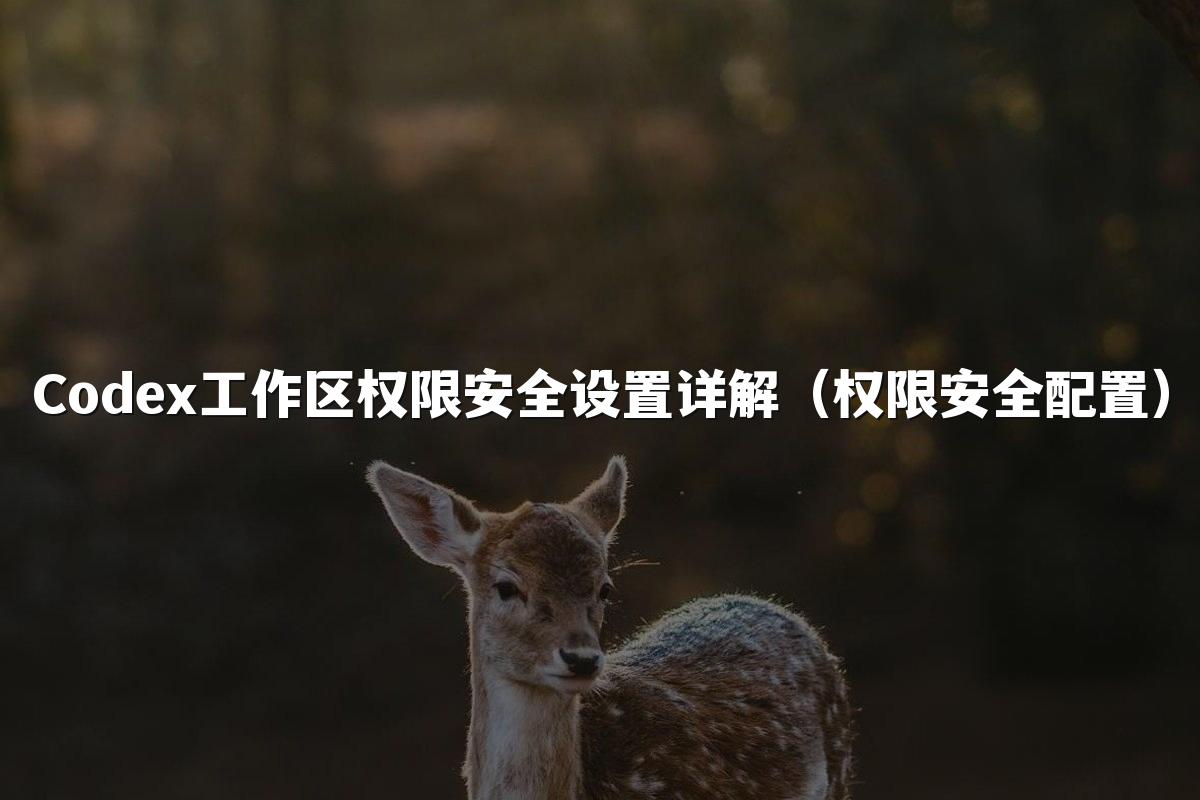 Codex工作区权限安全设置详解（权限安全配置）