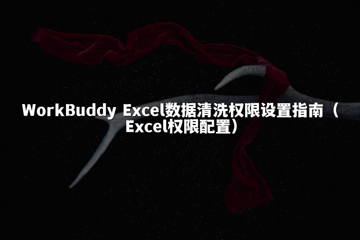 WorkBuddy Excel数据清洗权限设置指南（Excel权限配置）